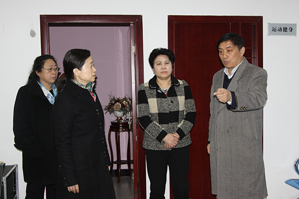 市妇联主席马斐颖参加航空港区调研