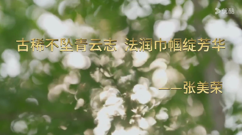 古稀不坠青云志，法润巾帼绽芳华——张美荣（2）