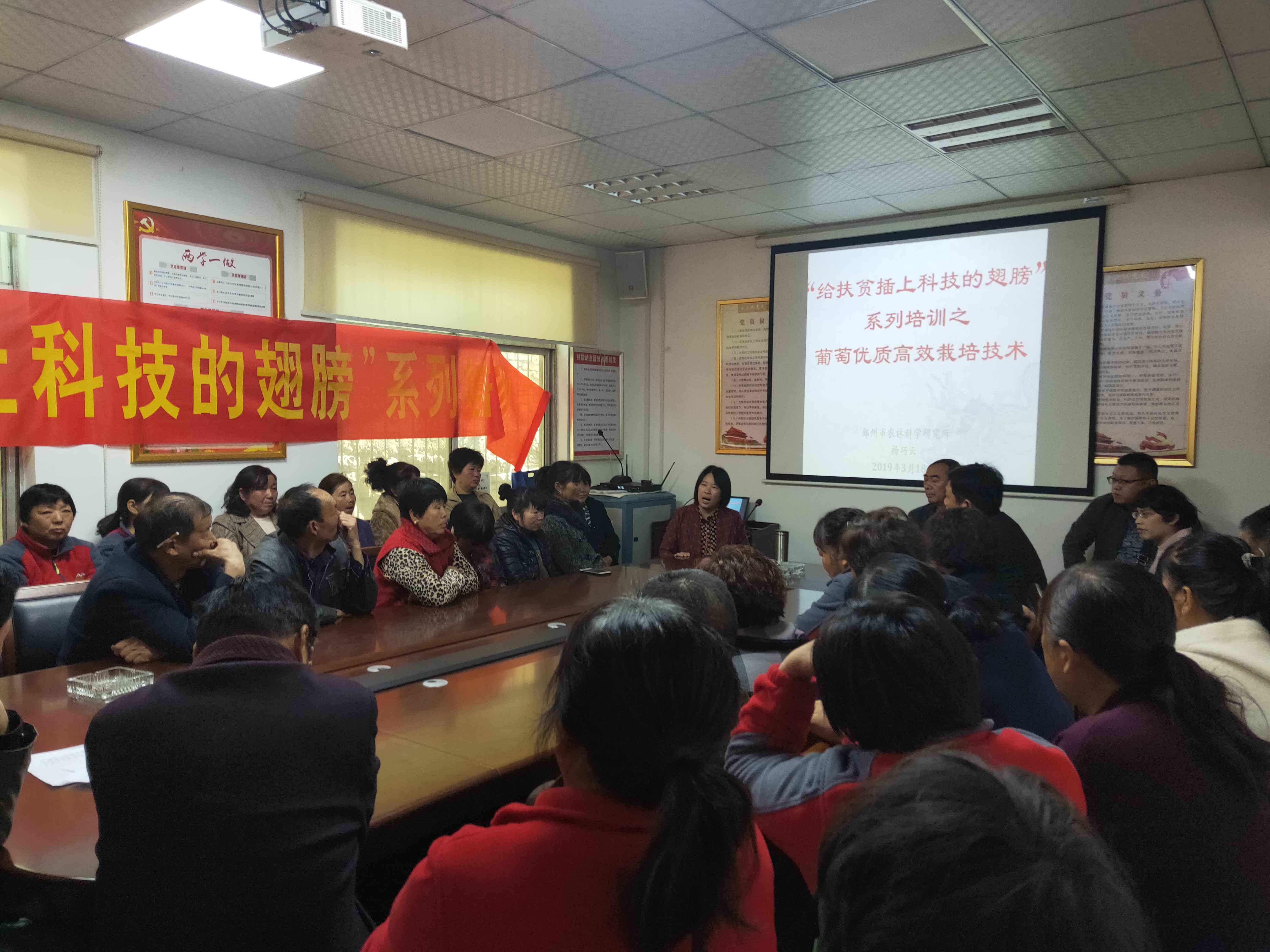 河南省三八红旗奖先进个人：郑州市农业科技研究院林果所所长 杨巧云