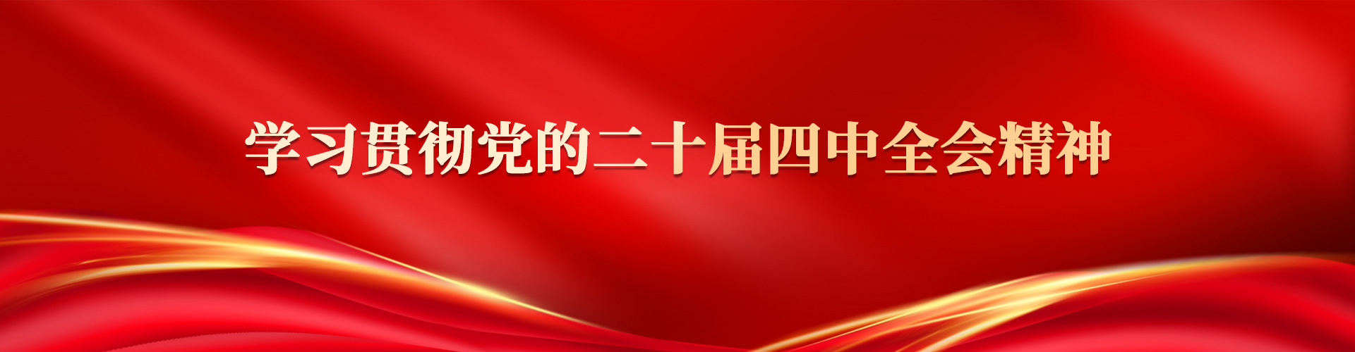 学习贯彻党的二十届四中全会精神