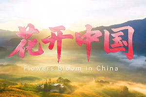 《花开中国》